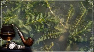 Я не хочу любить в размашку, я не хочу любить в разнос