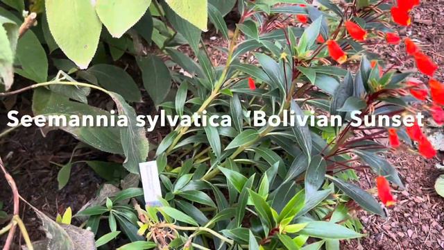 Fall tour of the JCRA смотреть онлайн