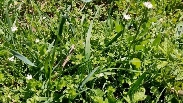 Что происходит прямо сейчас. Сводка на 25. 03. 2023. смотреть онлайн