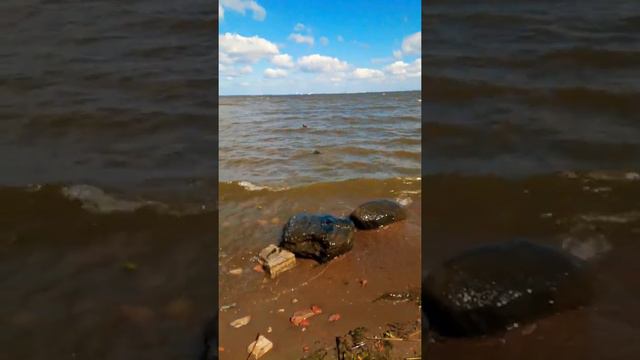 Финский залив в Санкт-Петербурге❤️ смотреть онлайн