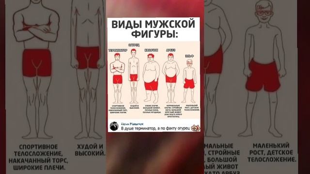 Вид мужской фигуры смотреть онлайн