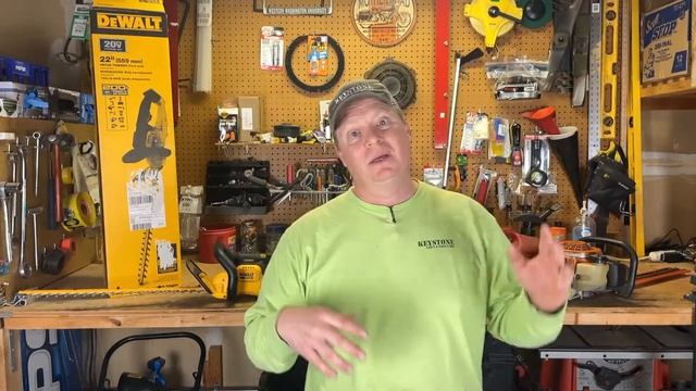 Dewalt 20v Max Hedge Trimmer Vs Stihl Gas Power смотреть онлайн