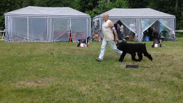 День ризена - 2014: Чемпионы НКП, сравнение смотреть онлайн