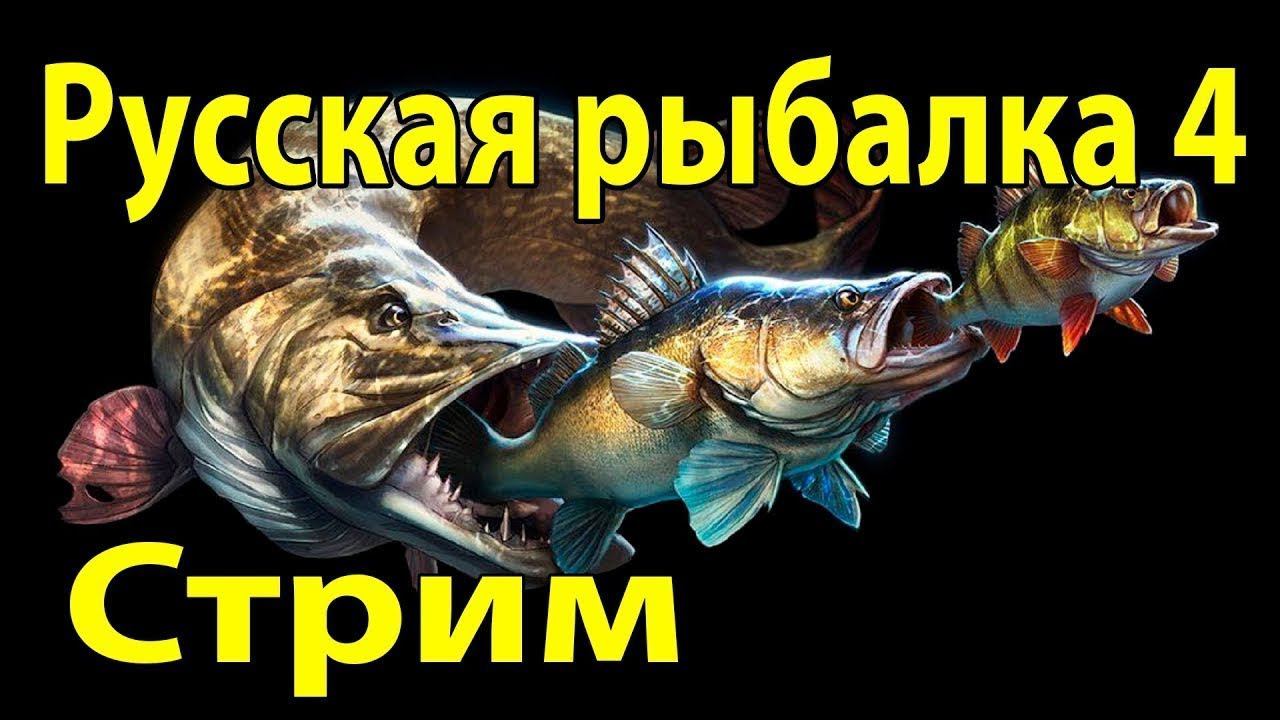 Спинниг,фидер,Фарм серы РусскаяРыбалка 4