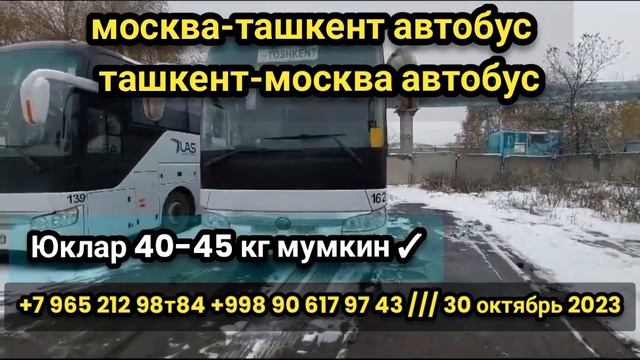 москва-ташкент автобус ташкент-москва автобус #tashkent #moskva #avtobus #tashkentmoskvaavtobus ￼ смотреть онлайн