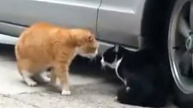 Жена мужа пилит смотреть онлайн