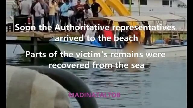 Most dramatic fatal shark attack ever caught on cam. full video (viewers discretion is advised) смотреть онлайн