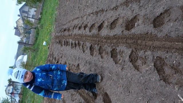 Ручная сеялка Винница или Китай обзор и впечатления первая посадка!