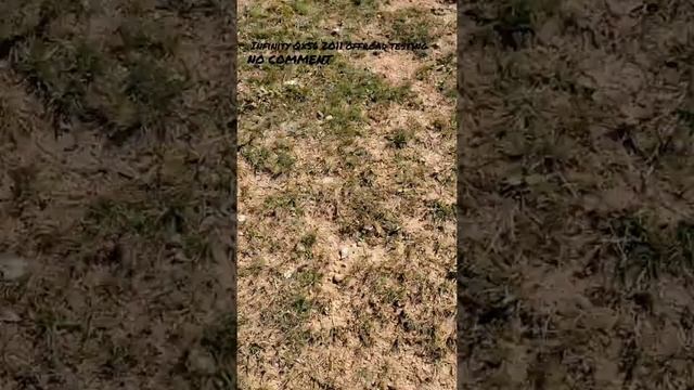 Infinity Qx56 offroad test смотреть онлайн