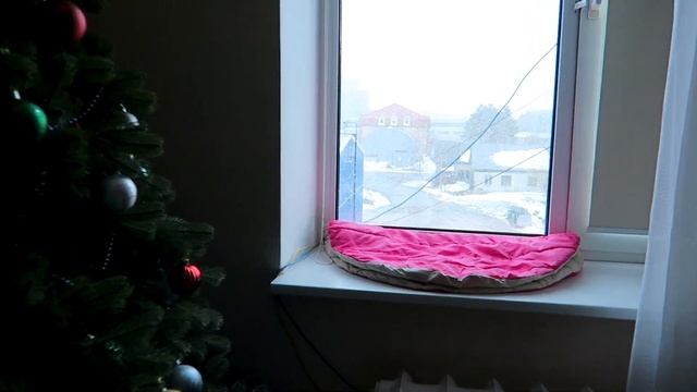 VLOG: Что творится в нашей спальне?/Люди Страх потеряли/ ВЛОГ ДОМОХОЗЯЙКИ/СЕМЕЙНЫЙ КАНАЛ/LifeVlog смотреть онлайн