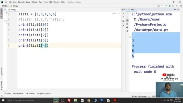 WORKING WITH LISTS AND DICTIONARIES | CLASS 11 IP CHAPTER 4 CBSE | INTRODUCTION TO LISTS IN PYTHON смотреть онлайн