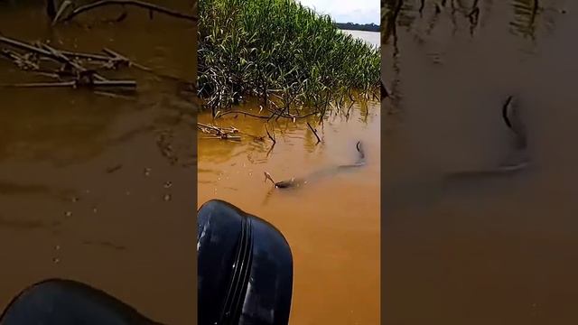 Fishing zones wow classic @Fishing 6 mile creek port hedland @t fishing swivels @Fishing apparel смотреть онлайн