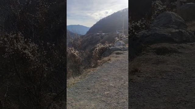 Водохранилище Жинвали // Reservoir Zhinvali ♥️ смотреть онлайн