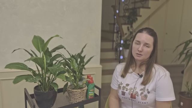 №77. Спатифиллум. Удобрения. Как понять чего не хватает и какое удобрение вносить. смотреть онлайн