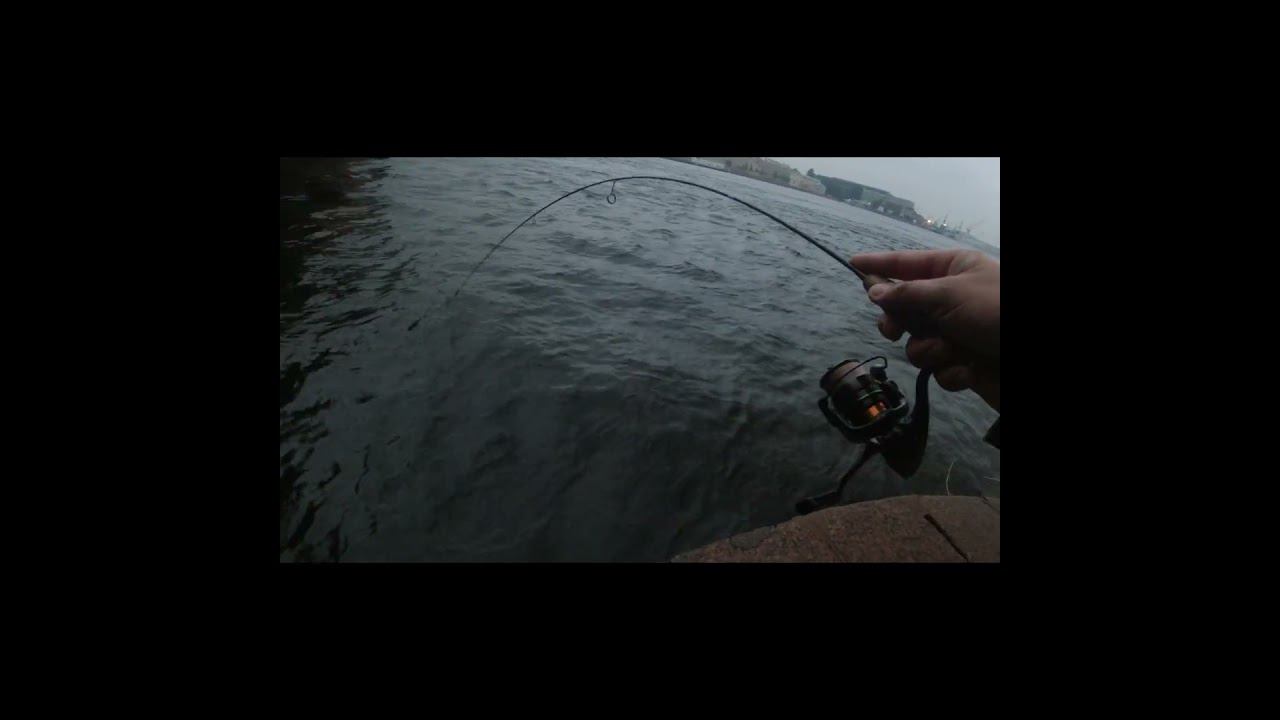 Shorts Окунь1 смотреть онлайн