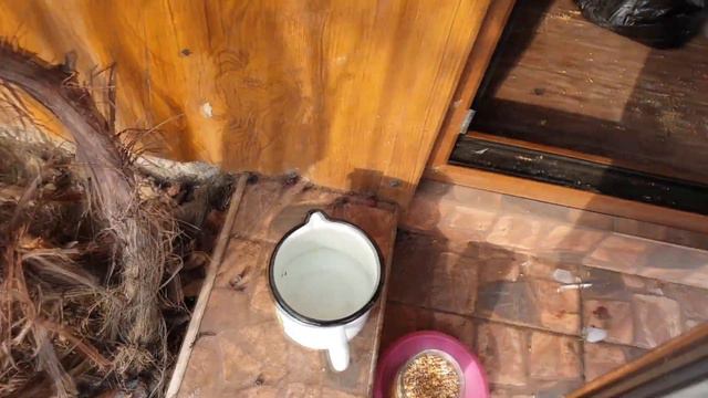 Петя и компания. Часть 63 (зима пожаловала в гости) смотреть онлайн