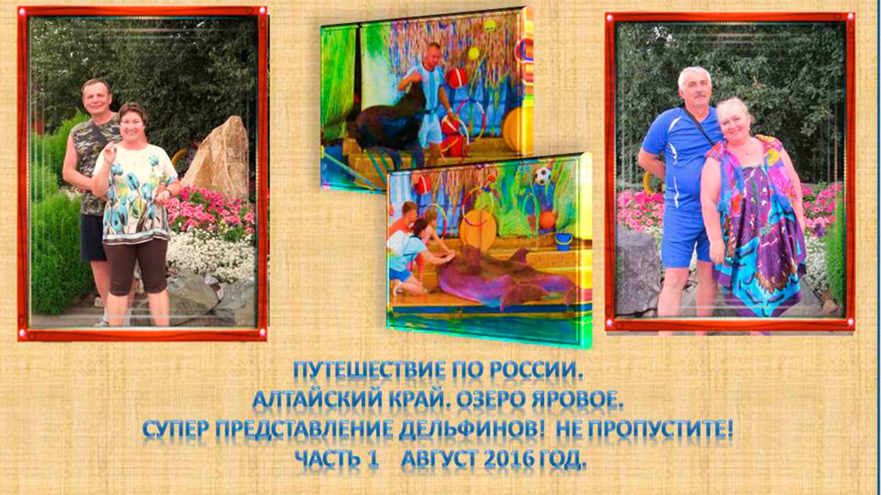 Часть 1. СУПЕР ПРЕДСТАВЛЕНИЕ ДЕЛЬФИНОВ! НЕ ПРОПУСТИТЕ!