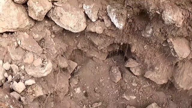 Define bulunma anı eşkiya hazinesi ! смотреть онлайн