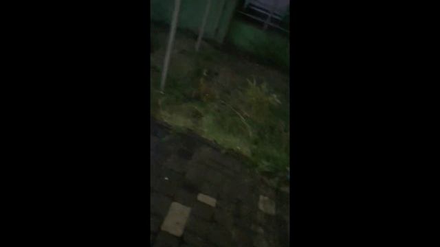 КОТЛИН СЛИВАЕТ ДЕНЬГИ ЖИЛЬЦОВ смотреть онлайн