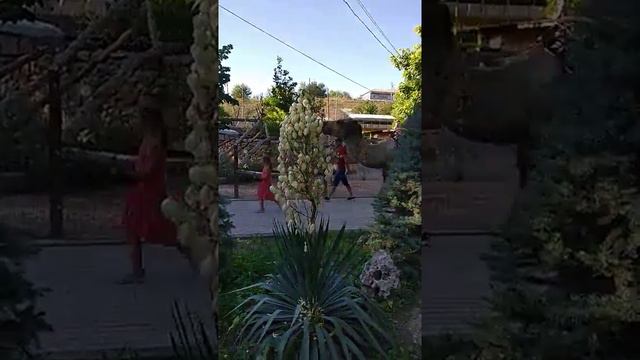 Зоопарк в Бахчисарай Парк миниатюр смотреть онлайн