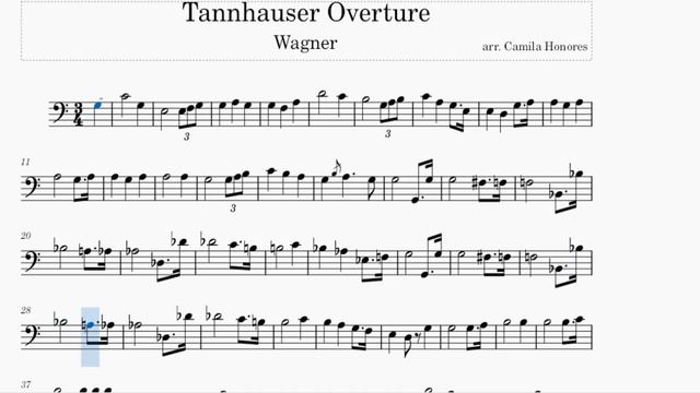 Tannhäuser Overture (arr.Cello Solo) Wagner смотреть онлайн