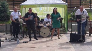 Синий туман (Cover)