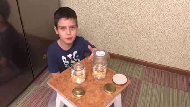 Опыт с горячей водой_Я исследую мир смотреть онлайн