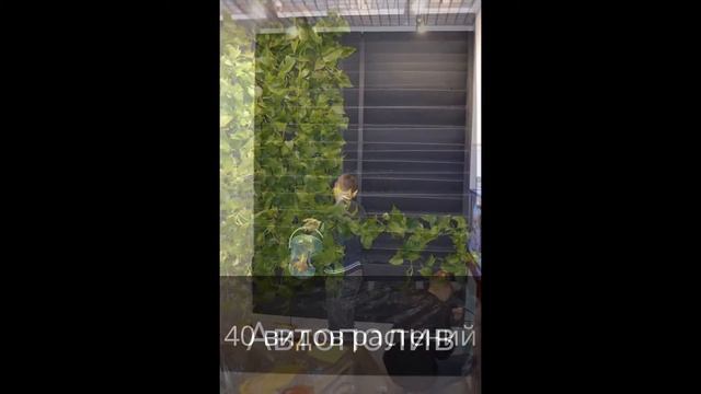 Greenwall Вертикальное озеленение. Vertical Garden
