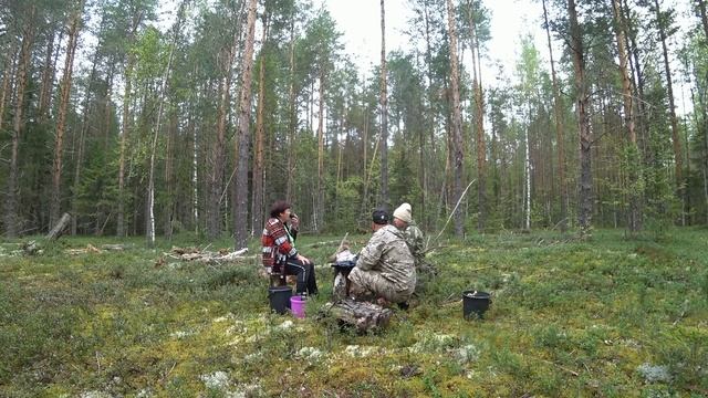ОНИ ВЕЗДЕ!! НА СЕВЕРЕ ПОШЛА ОСЕНЯЯ ВОЛНА ГРИБОВ! С ДОЧКОЙ И МАМОЙ, ДА ПО ВЕДРУ!! ТИХАЯ ОХОТА 2023 ! смотреть онлайн