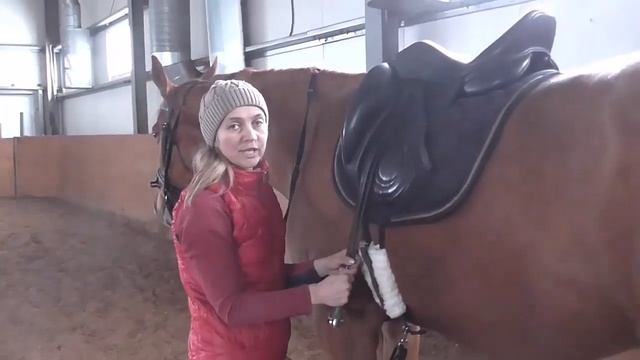 Как садиться на лошадь смотреть онлайн