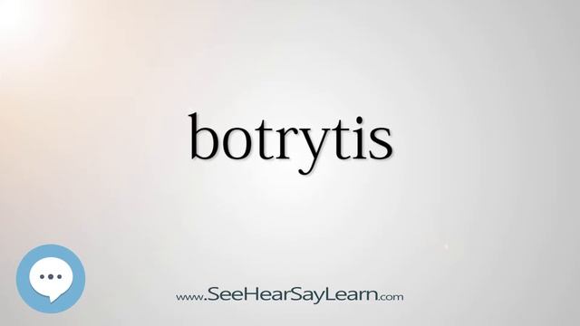botrytis смотреть онлайн