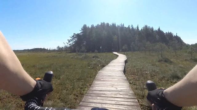 Сестрорецкое болото, шалаш Ленина, пробил колесо смотреть онлайн
