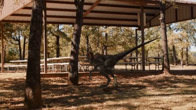 Vaqueros y dinosaurios | Videos de dinosaurios y juguetes para niños смотреть онлайн