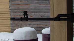 СВД или карабин ТИГР?