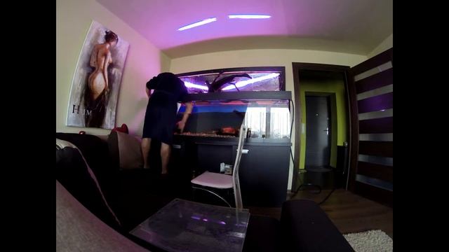 Чистка аквариума на 500л. за 2минуты GO PRO 3 Timelapse смотреть онлайн