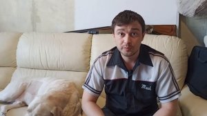 Как выбрать подсадную утку и где ее взять. Плюсы и минусы