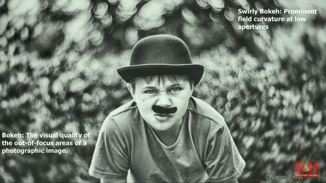 The Petzval Arts Lens by Lomography смотреть онлайн