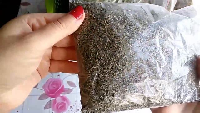 Домашний ВЛОГ: Домашние дела,погода,ЧТО СУШУ НА ЗИМУ(запрос) смотреть онлайн