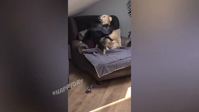  смотреть онлайн