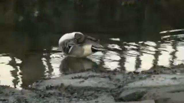 ビクター Everio GZ-E265(カメラのキタムラ動画_Victor) смотреть онлайн