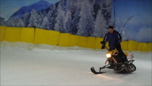 Динго Т150 и Мухтар смотреть онлайн