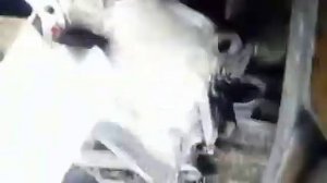 Устранение течи масла на втором поддоне. Мазда  626 GE