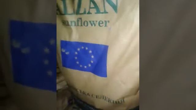 Посевмат подсолнуха 2018 смотреть онлайн