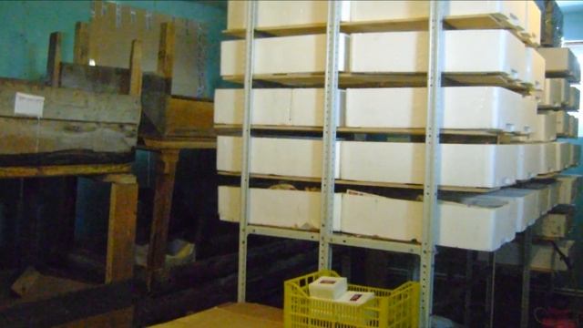 Вермиферма своими руками как бизнес идея | 15 000$ на разведении червей смотреть онлайн