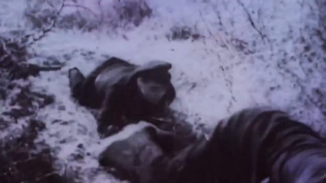 Участники "Байкальской мили" передали капсулу с грунтом, поднятым со дна Балтики родственникам геро смотреть онлайн