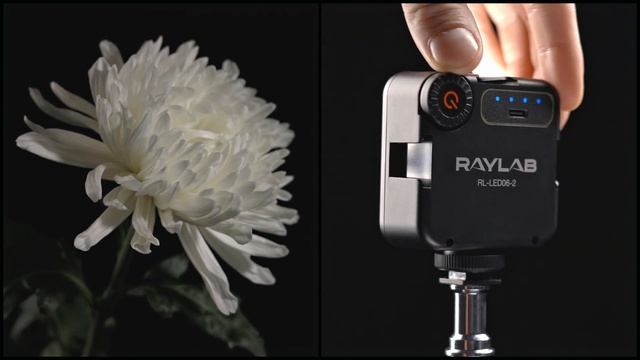Осветитель светодиодный Raylab RL-LED06-2 5600K 2000mAh смотреть онлайн