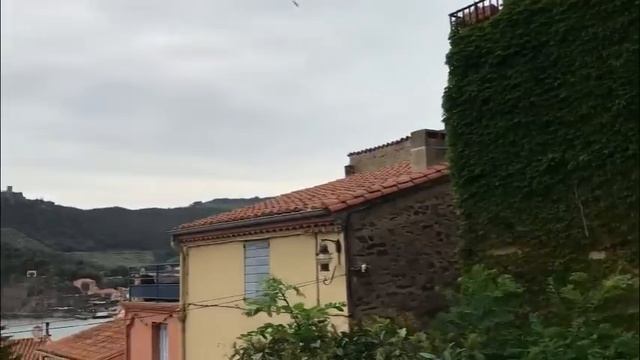 Лена Хеппи взяла билеты в Испанию. Селим не против. Жизнь на юге Англии полодеет на глахах. смотреть онлайн