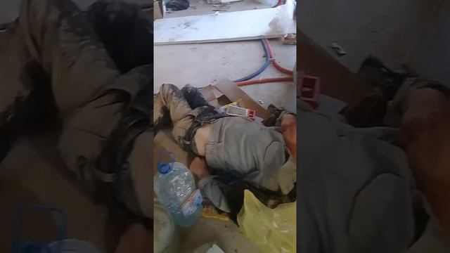 Пьянь смотреть онлайн