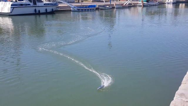 Bateau rc T03 test смотреть онлайн