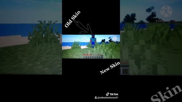 My Old Skin and my new skin in Minecraft java смотреть онлайн